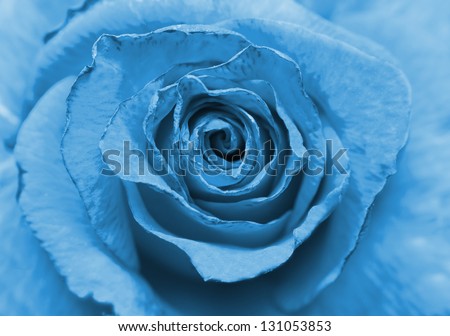 [Obrazek: stock-photo-blue-old-rose-131053853.jpg]