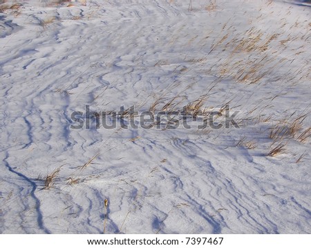 patterns on the snow in flagstaff, 