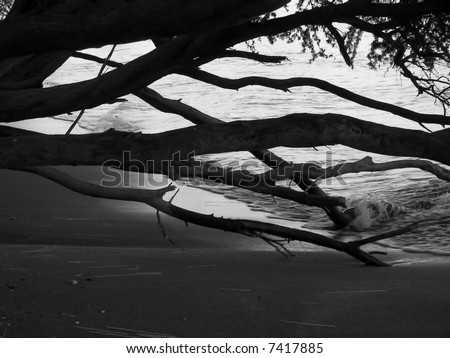 black and white beach photos. lack and white photography