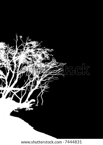 clip art tree outline. tree outline on black