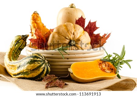 Variety of pumpkins in basket with autumn leaves and rosemary