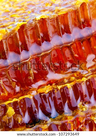 Honeycomb structure closeup background