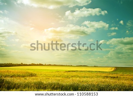 Village Wheat Field In Abstract Color