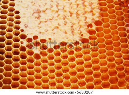 Yellow honeycomb wax cell detail texture background