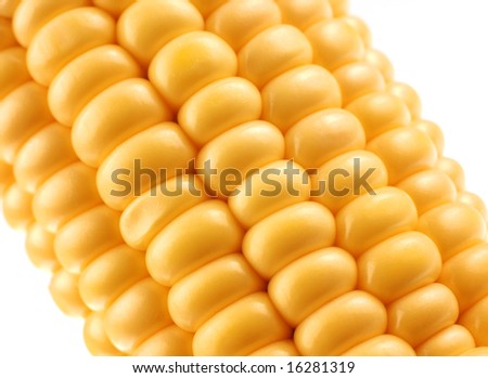 Corn vegetable closeup yellow seed background on white