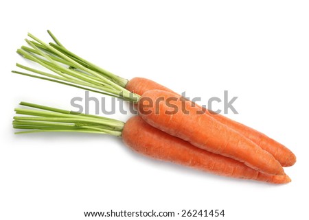 stock photo : Carrot fresh