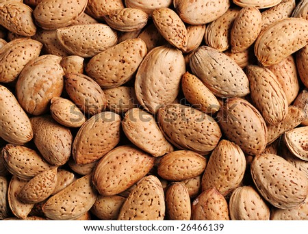 Almond nut in shell detail view background