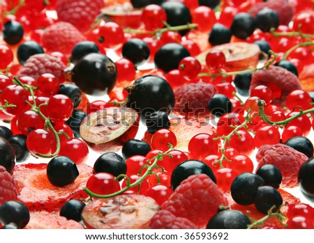 Red and black berry with gooseberry closeup background