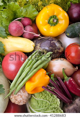 Fresh ripe vegetable mix closeup background