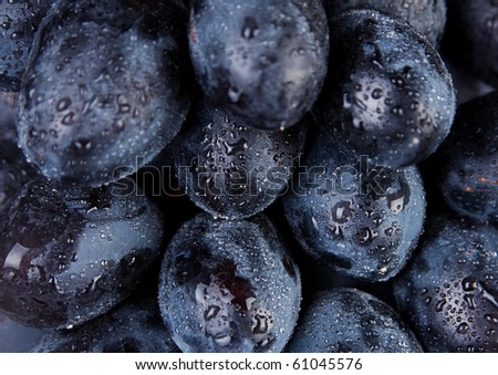 Fresh blue grape fruit background in water drop