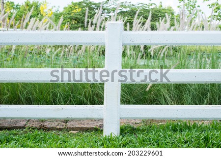 Background, fence in garden