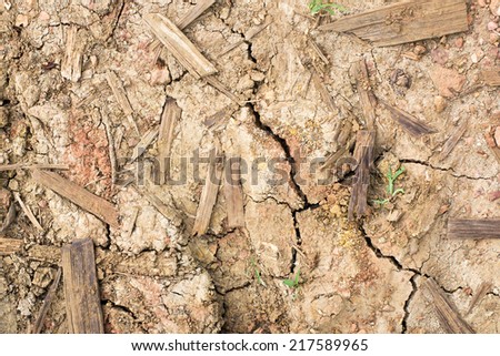 Background of soil and spill