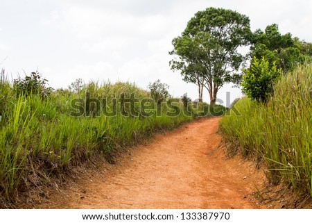 Path in World heritage, Kao Yai National park ,Thailand