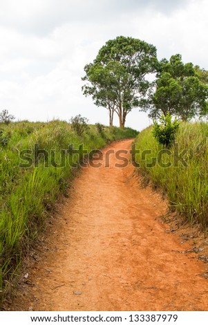 Path in World heritage, Kao Yai National park ,Thailand