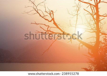 Morning sun (Maggiore lake, Italy)