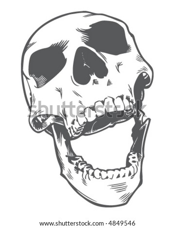 http://image.shutterstock.com/display_pic_with_logo/118954/118954,1188088374,12/stock-vector-laughing-skull-4849546.jpg