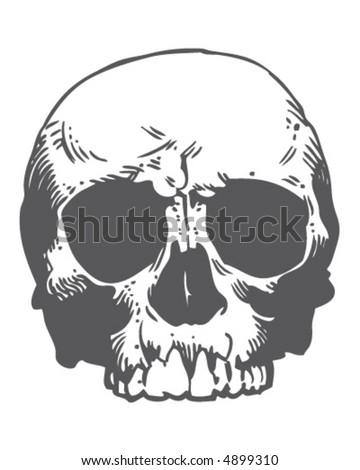 Skull Stock Vector Illustration 4899310 : Shutterstock
