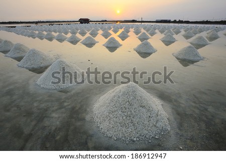 Sunset in a row of salt heap waiting to be harvested.