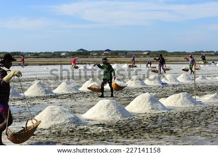PETCHABURI, THAILAND - APR 26: Farmers harvesting salt in salt fields on April 26, 2014 in Petchaburi, Thailand.