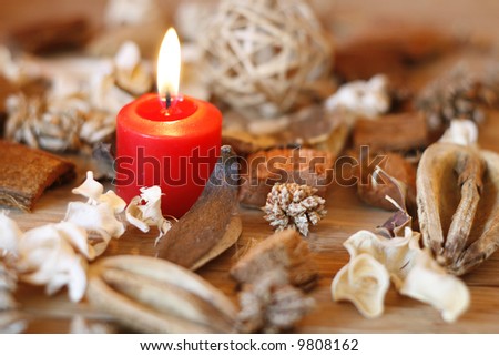 Red candle and dried plants