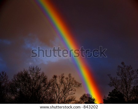 Dark Rainbow