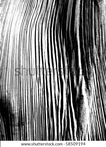 wallpaper wood grain. stock photo : wood grain