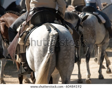rider on a horse with twisted tail