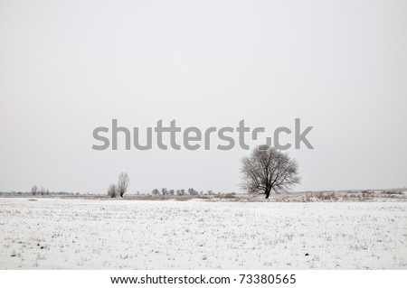 Winter tree alone (Four seasons set)\
Whole set (IDs: 73380565, 73380556, 73380559, 124452046)
