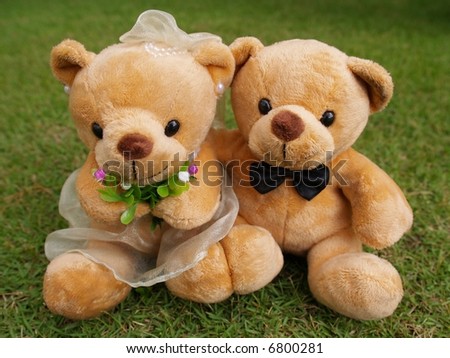 Wedding Bears on the Botany Garden