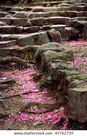 Beautiful rocky stairs covered by cherry blossoms petals. Sakura is the Japanese word for the flower of cherry tree.