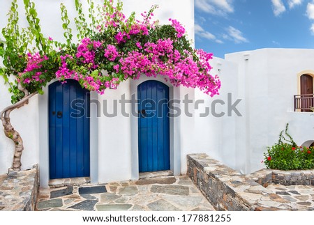 Colourful tropical purple bougainvillea creeper flowering over two blue doors on a whitewashed villa typical of Mediterranean architecture