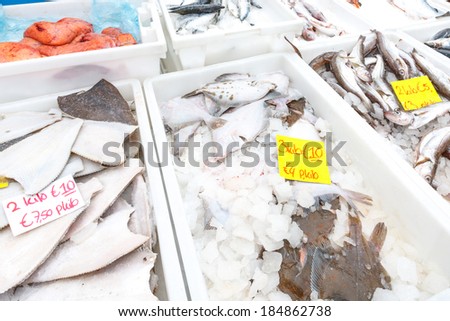 Various species of fresh fish at a fish market displayed in plastic trays or tubs with ice and price tags in a sea fisheries, seafood, and retail concept