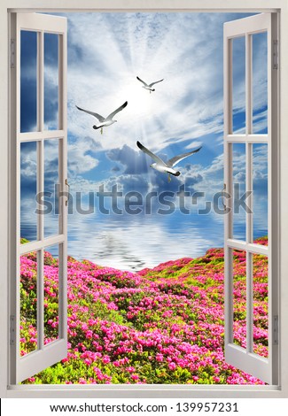 Flying over the rose field to the sea gulls, the view from the window