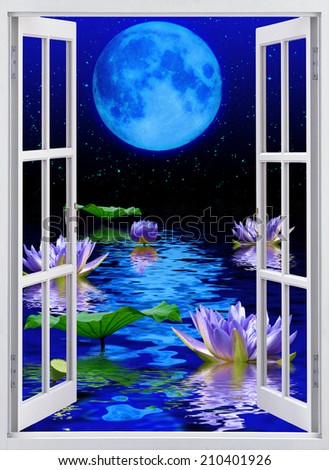 Moonlit night, beautiful view from the window.