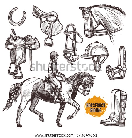 Hand Drawn Equipment For Horses. Horse And Horseback Riding Sketch Set