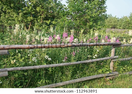 Wood fence and flowers