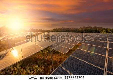 Beautiful sunset over  Solar energy at Solar panels (solar cell) in solar farm with sun lighting to create the clean electric power