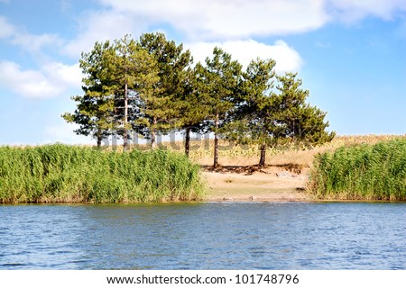 Water front land with trees and cloudy sky