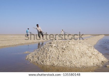 DHRANGADHRA, INDIA - MARCH 13: 3 Unidentified Indian men, salt workers, Little Rann of Kutch. On March 13, 2012 in Dhrangadhra, India.  India is world\'s 3rd largest producer of salt, 80% from Gujarat.