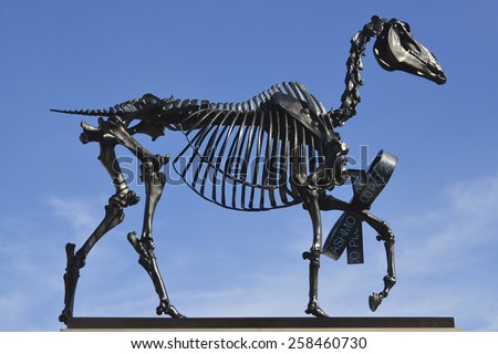 LONDON, UK - MAR 6: Gift Horse the new Forth Plinth sculpture in Trafalgar Square on March 6, 2015, in London, UK. The riderless horse by German born artist Hans Haacke was unveiled on March 5, 2015