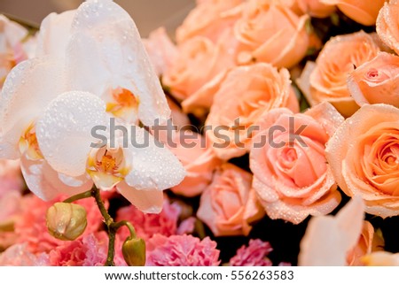 Old rose, Pink rose and white Orchid  image of love / Image of Valentines day. / Image of wedding day.