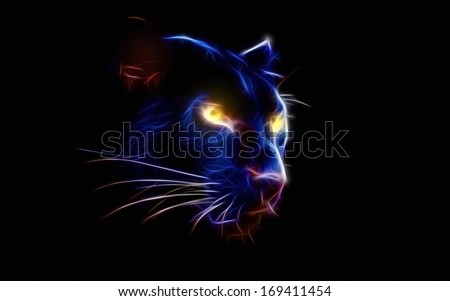 Black Panther In The Dark Of The Night