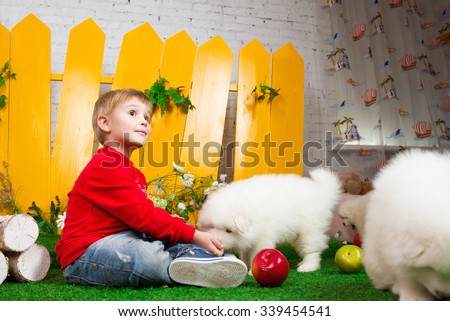 little boy three years old sitting with white puppies of Samoyed in studio