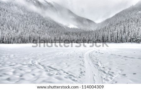 Frozen lake with a sled train in the mountain with trees covered in snow.