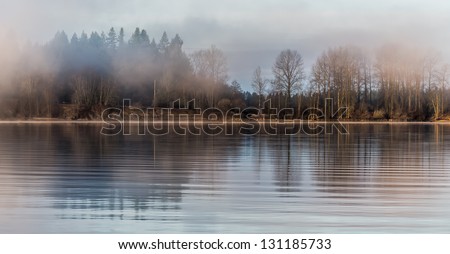Tree Reflected In River On Misty Morning