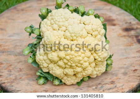 Close-up of the cauliflower from my kitchen