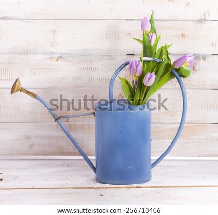 Watering can with tulips on wooden board