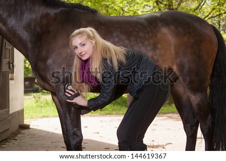 Girl is brushing the legs of her brown pony (New-Forest-Pony)