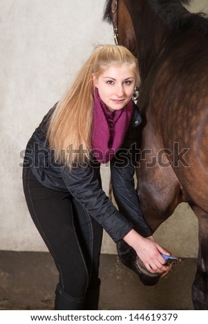 Girl is scratching the hooves of her brown pony out (New-Forest-Pony)