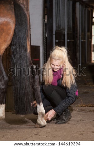 Girl is brushing the legs of her brown pony (New-Forest-Pony)